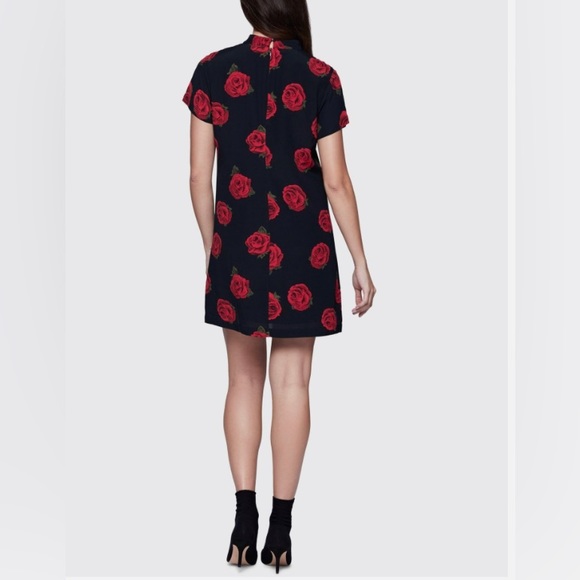 Sanctuary dress - Picture 2 of 10